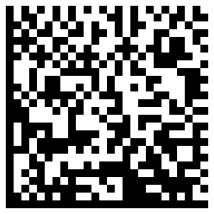 Datamatrix code