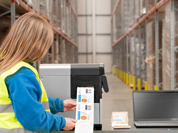 Capannone Epson ColorWorks C8000e